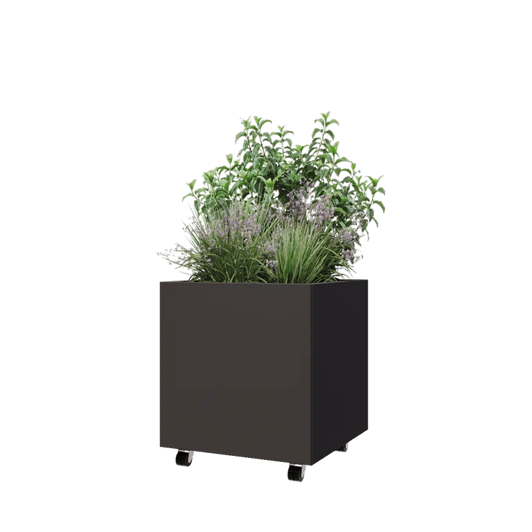 Čelična tegla za cvijeće - Kvadrat - 60 x 60 x 60 cm - RAL7016 mat (antracit siva) - S donjom pločom - S kotačima