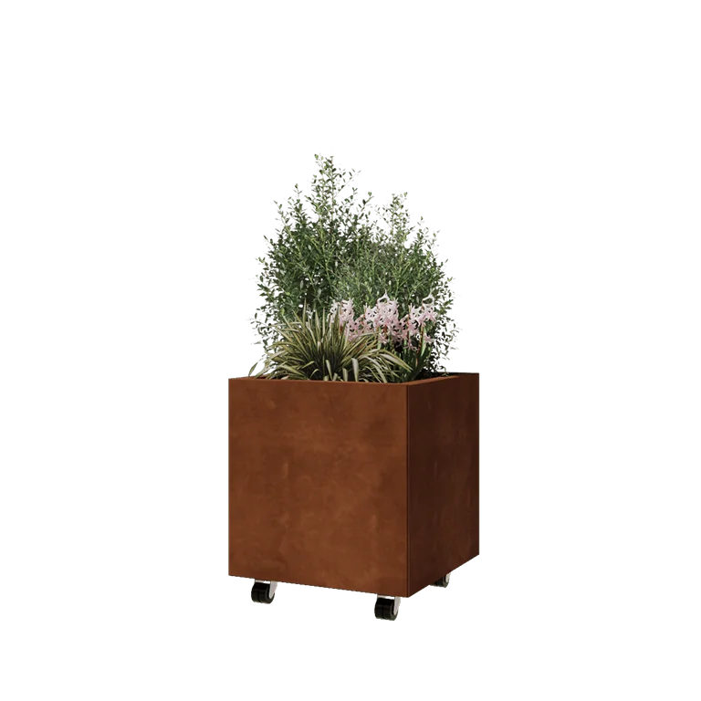 Corten čelik tegla za cvijeće - Kvadrat - 50 x 50 x 50 cm - S donjom pločom - S kotačima